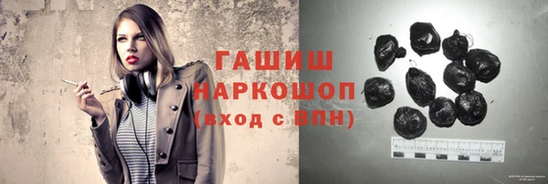 гашик Вяземский