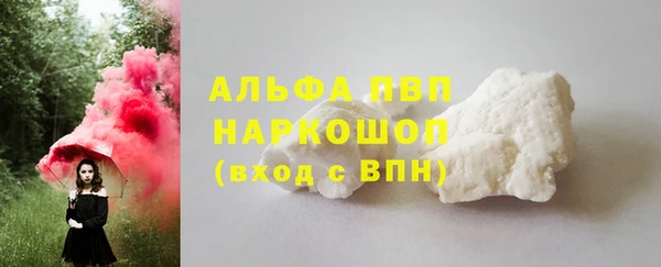 гашик Вяземский