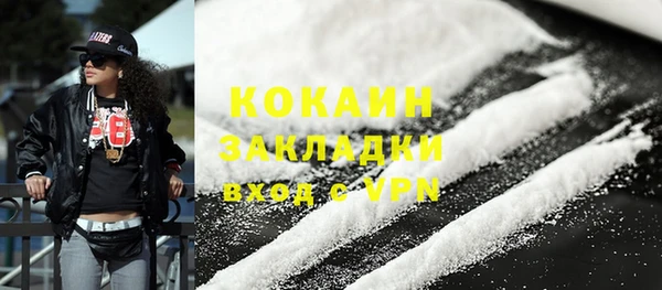 гашик Вяземский