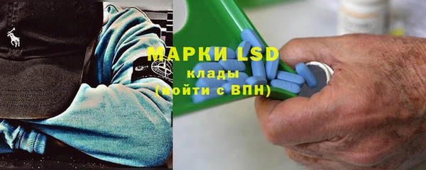 гашик Вяземский