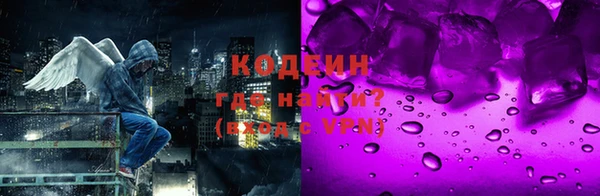 гашик Вяземский