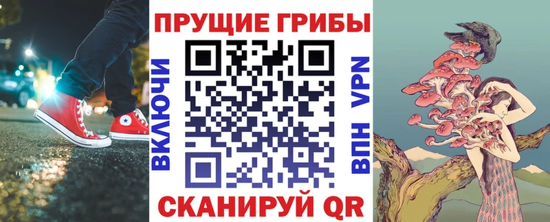 Купить  Шелехов  Галлюциногенные грибы Magic Shrooms 